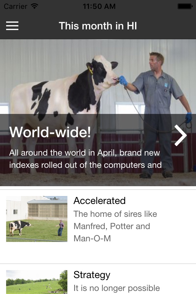 Holstein International screenshot 4