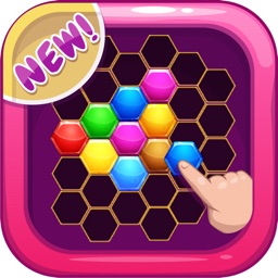 Hexa Grid Puzzle