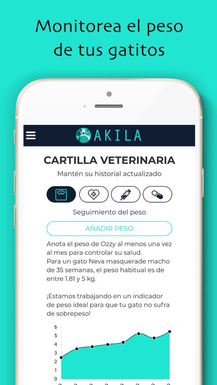 Akila: Adiestra a tu gatito screenshot-5