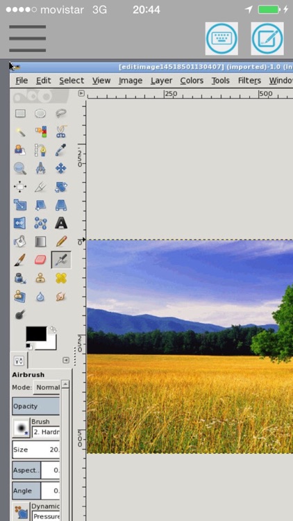 Gimp online - image editor and paint tool