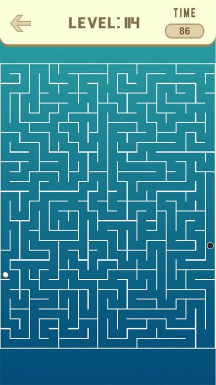 Maze Game screenshot-3