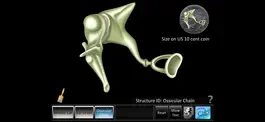 Game screenshot Middle Ear ID apk