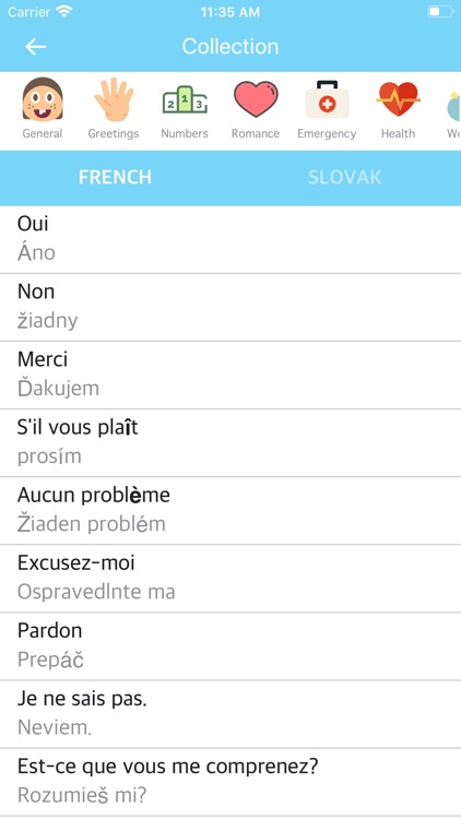 French Slovak Dictionary