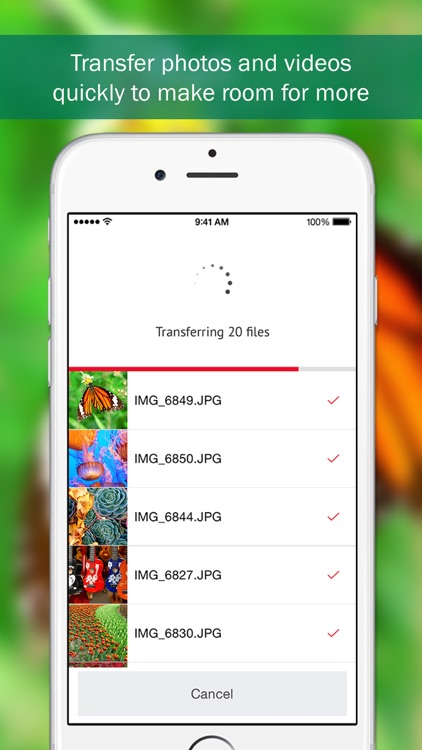 SanDisk iXpand™ Sync screenshot-3