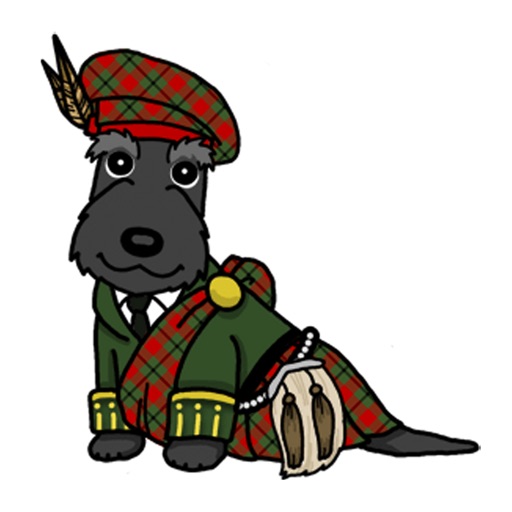 Scotish Terrier Dog