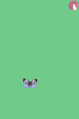 Meow~ - náhled