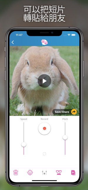 我的寵物會說話(圖4)-速報App