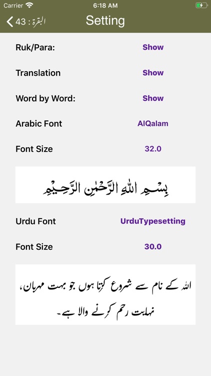 Bayan ul Quran - Tafseer screenshot-9