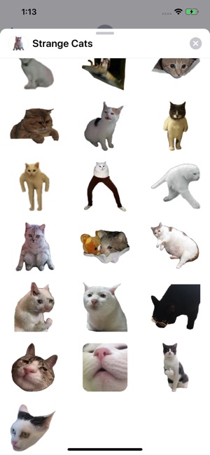 Strange Cats Sticker Pack(圖2)-速報App