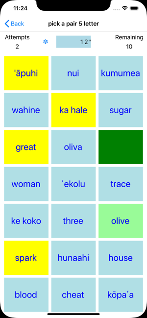 PickAPair Hawaiian - English(圖3)-速報App