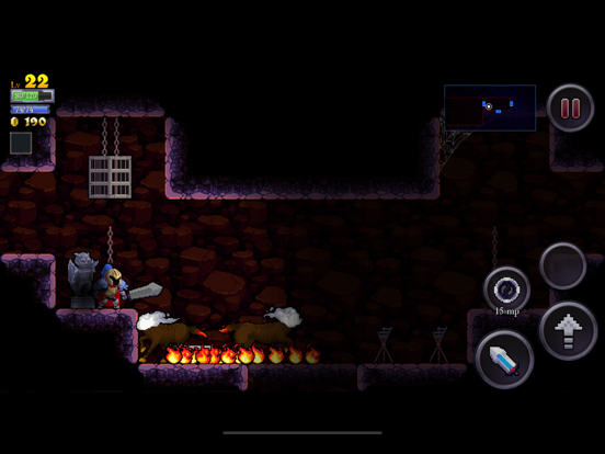 Rogue Legacy Screenshots