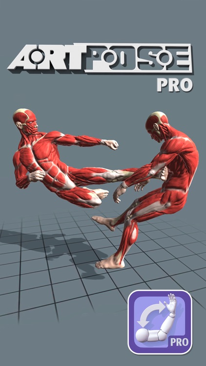 ArtPose Pro