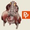 Primal's 3D Real-time Human Anatomy app for the Female Pelvis is the ultimate 3D interactive anatomy viewer for all medical educators, practitioners and students