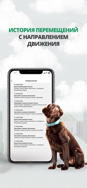 MyPets(圖5)-速報App