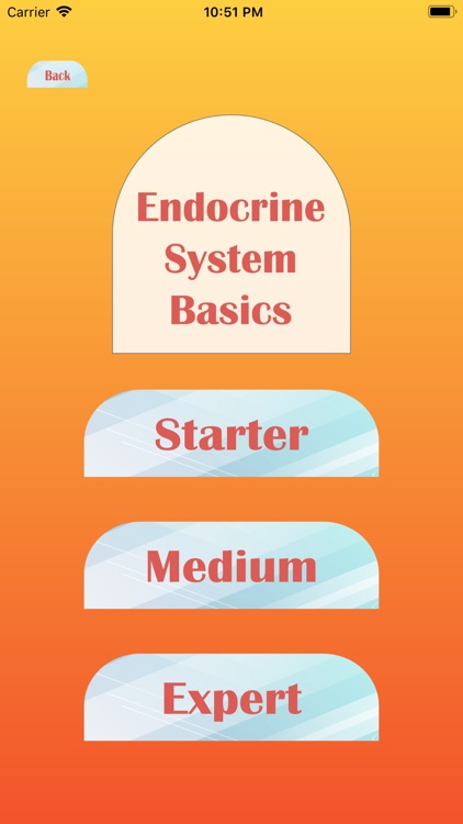 Endocrine System Basics