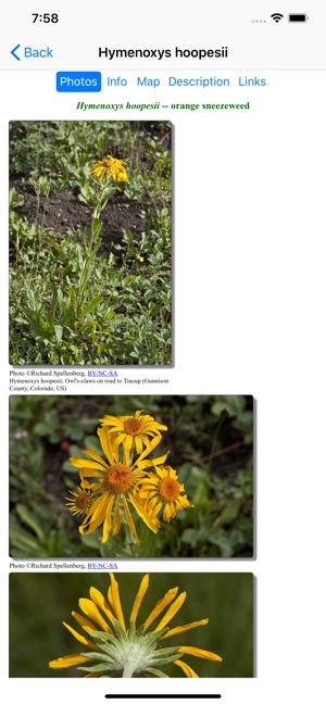 Central California Wildflowers(圖3)-速報App