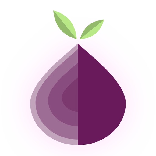 tor browser ios скачать мега