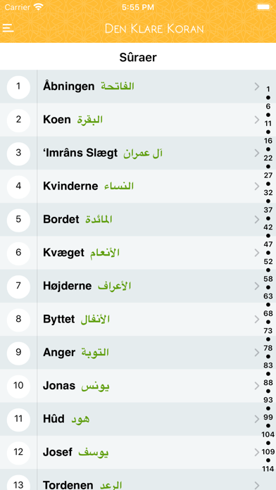 How to cancel & delete Den Klare Koran - Koranen på dansk (tekst & tale) from iphone & ipad 1