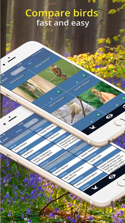 Bird Id - British Isles birds screenshot-6