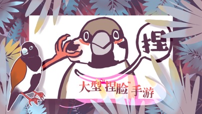 文鸟恋爱物语 screenshot 2
