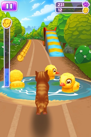 Pet Run - Puppy Dog Run Game screenshot 4