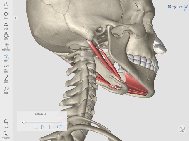 3D Organon Anatomy Enterprise(圖6)-速報App