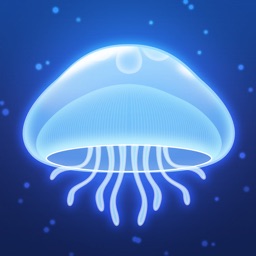 Jellyfish Puzzle