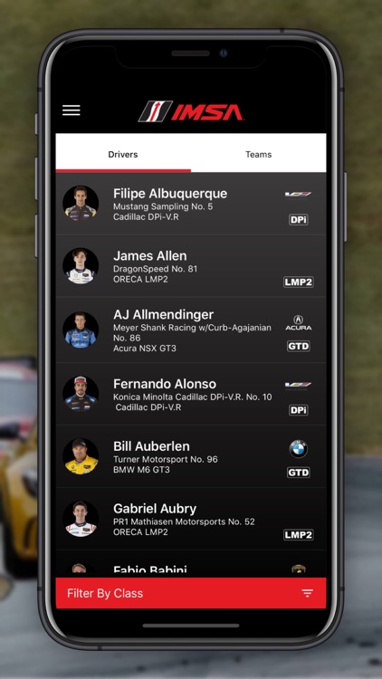 IMSA screenshot-4