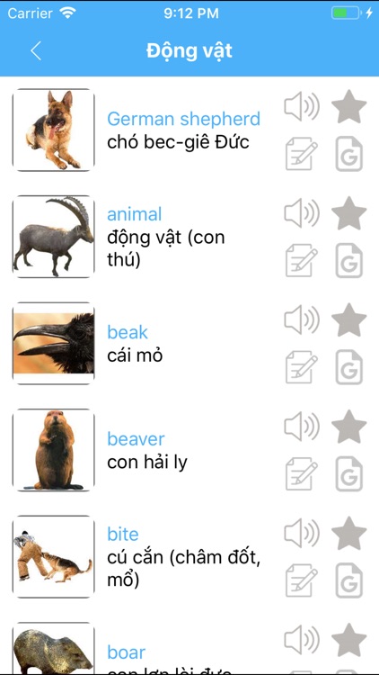 Learn languages wih Flashcards