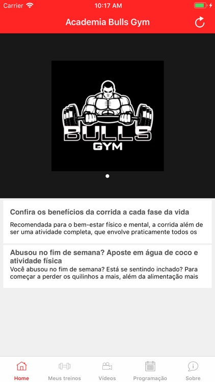 Academia Bulls Gym