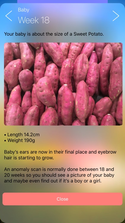 Pregnancy Today - Baby Tracker screenshot-3