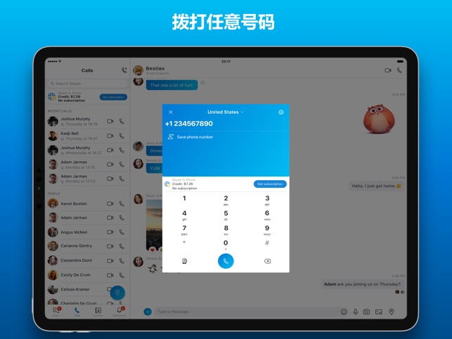 在app Store 上的 Ipad 版skype