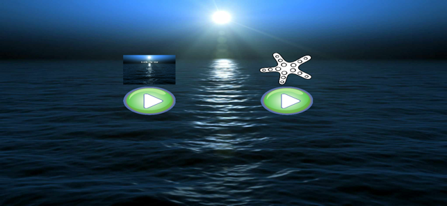 Meditation Sounds of the Ocean(圖1)-速報App