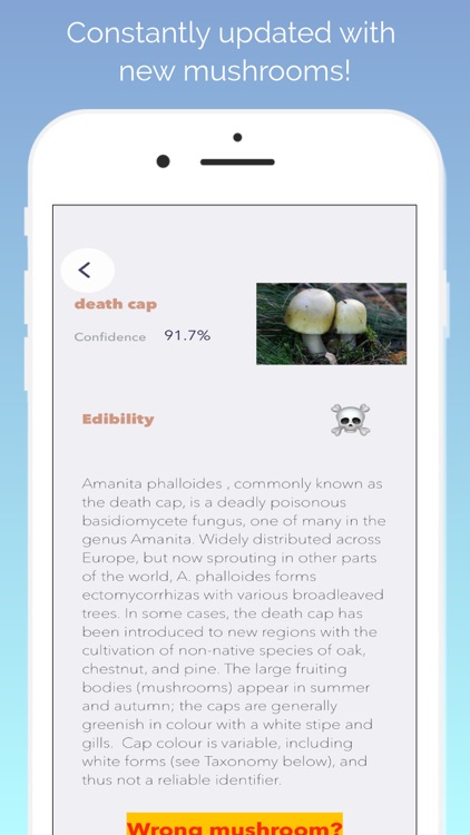 What's this mushroom? screenshot-4