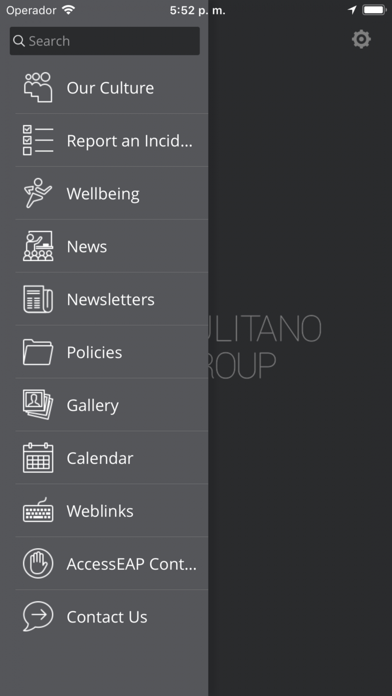 Pulitano Group screenshot 3