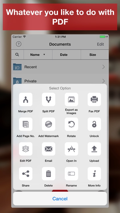 PDF Export Lite: PDF Converter