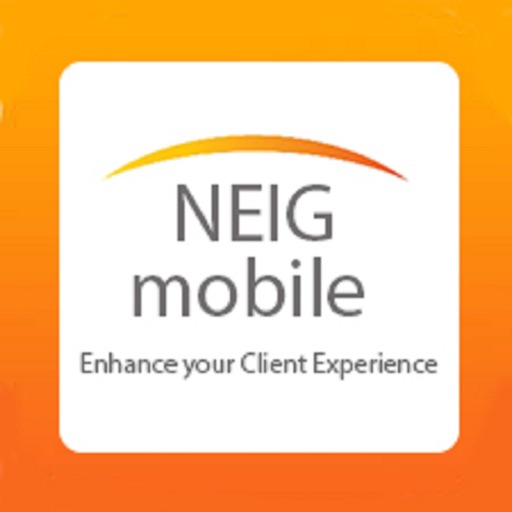 NEIG Client Experience