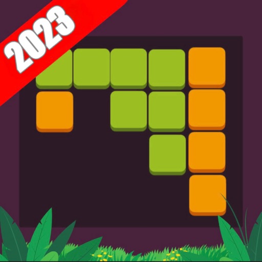 Woodoku Block Puzzle Premium