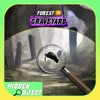 Forest Graveyard Investigation