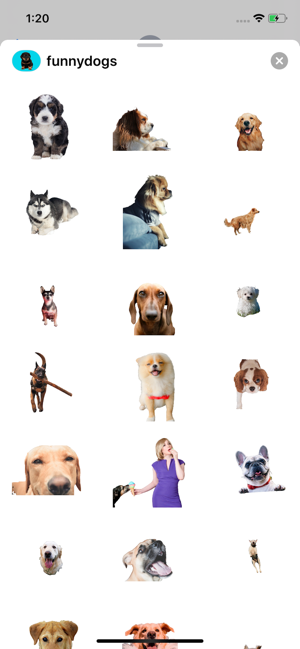 Dog Expressions(圖2)-速報App