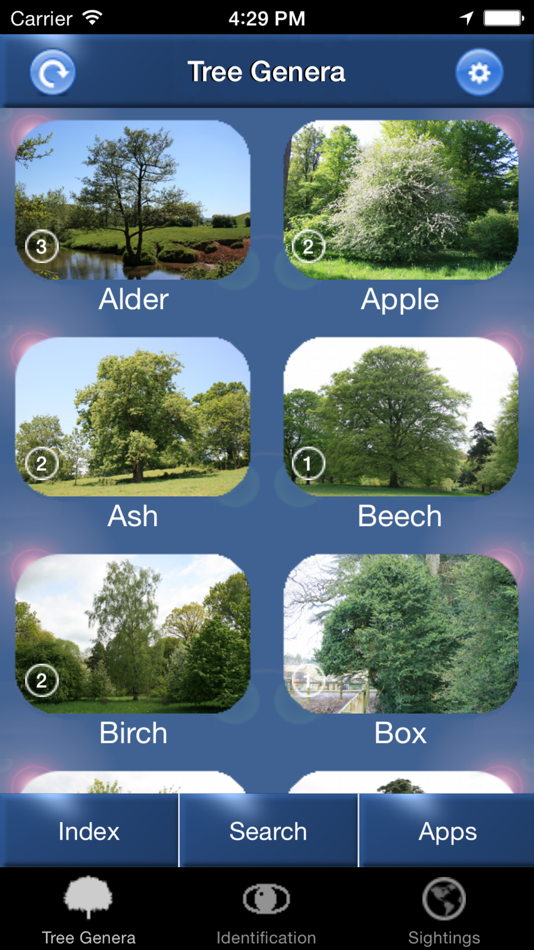 Tree app