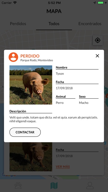 SocialPet App screenshot-3