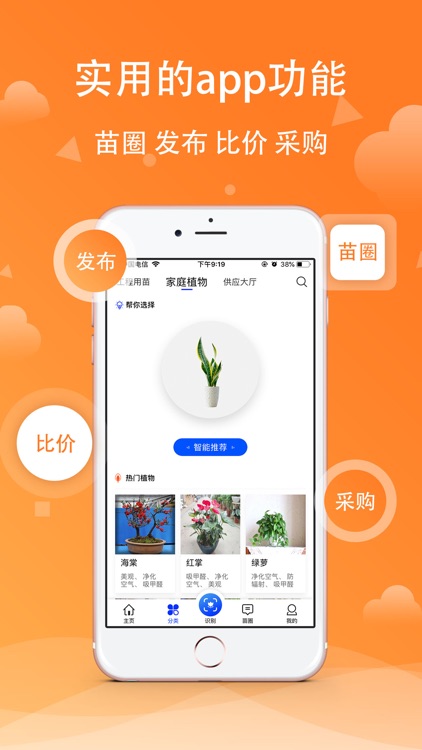 苗木之家 - 打造苗木百科全书