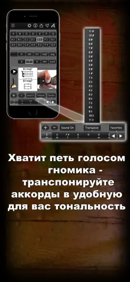 Game screenshot 120 Аккордов для Балалайки LR hack
