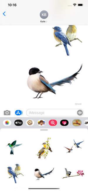 Amazing Birds Gallery(圖1)-速報App