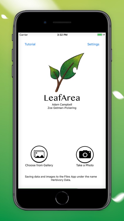 Leaf Area