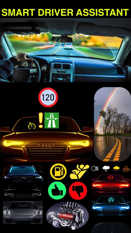 Dr. Falcon Driving Safety screenshot-0