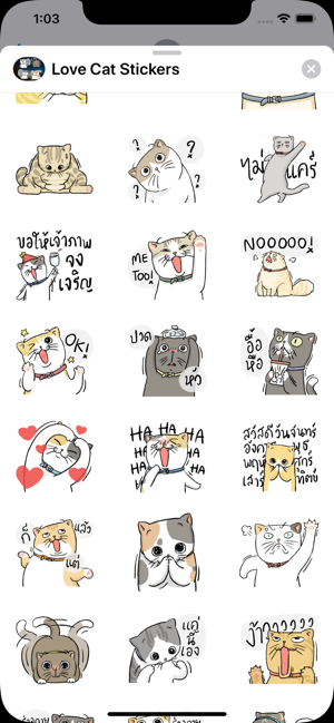 Love Cat Stickers(圖3)-速報App