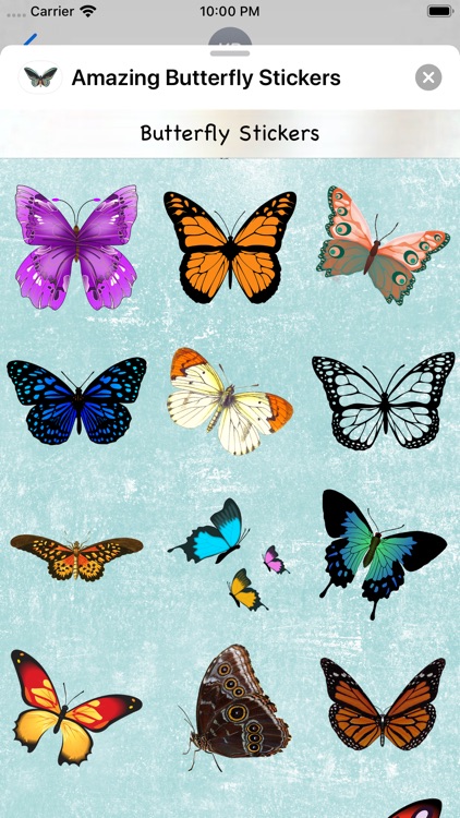 Amazing Butterfly Stickers