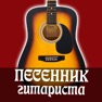 Get Песенник с аудио. Гитара for iOS, iPhone, iPad Aso Report